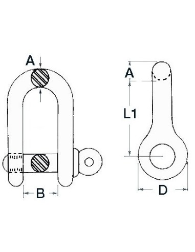 Stainless 'D' Shackles (316) - Ironware - 0832104