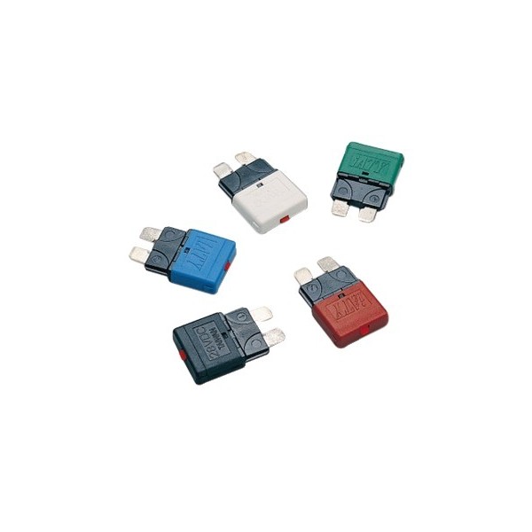 5 Fusibili lamellari riarmabili 12/24 V - Elettricità - 1400501