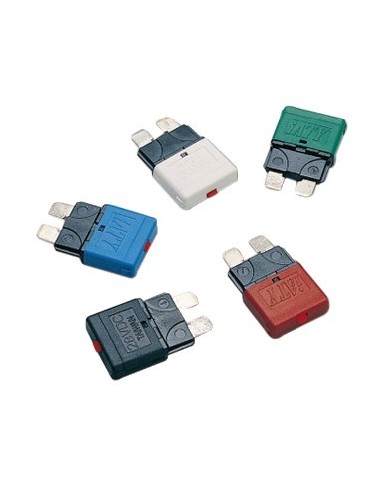 5 Fusibili lamellari riarmabili 12/24 V - Elettricità - 1400501