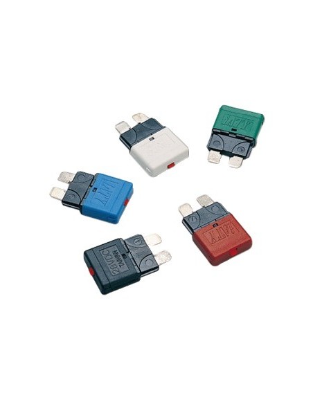 5 Fusibili lamellari riarmabili 12/24 V - Elettricità - 1400501