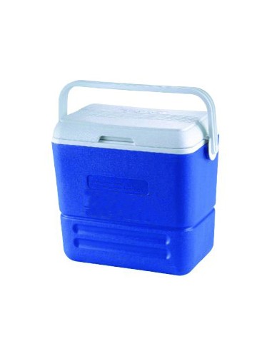 Portable ice chest for food or fished - 36 l - Portable fridge - D4336000
