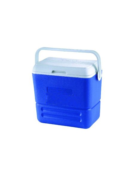 Portable ice chest for food or fished - 36 l - Portable fridge - D4336000