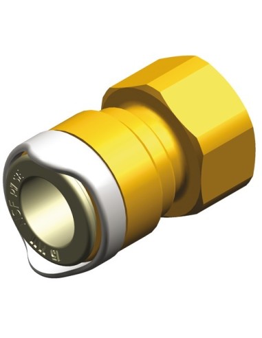 Female adaptor 1/2
