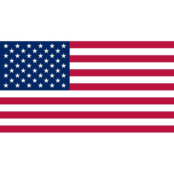 Bandiera -USA - SICUREZZA - 3544401