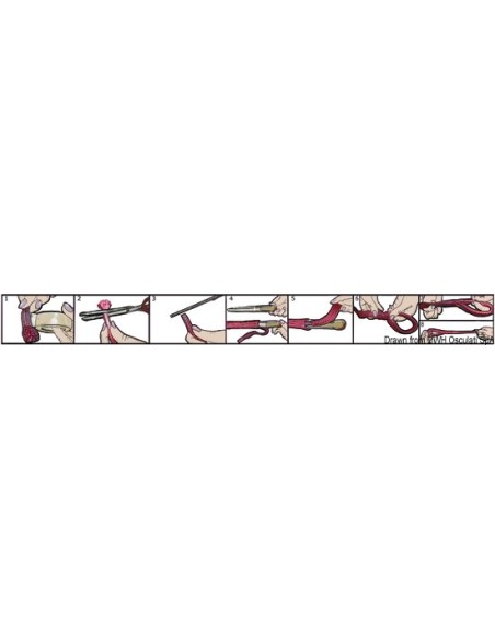Braid/strap made of 32-strand polypropylene - Mooring line - 0644410