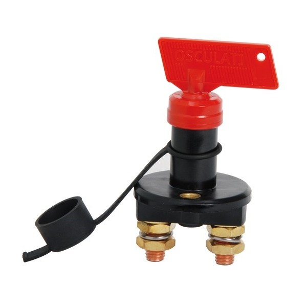 Staccabatteria Easy 100 A - Elettricità - 1438515