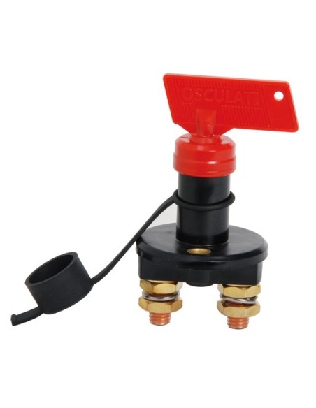 Staccabatteria Easy 100 A - Elettricità - 1438515