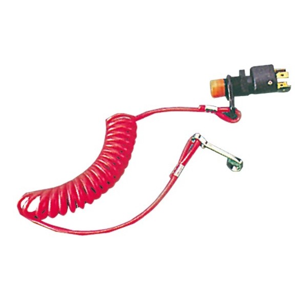 Ignition cut-off device (complying with regulations)  - Electricity - 1420492 2