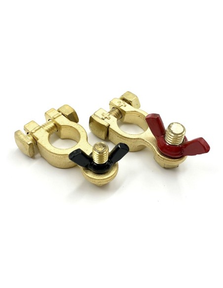 Coppia di morsetti in bronzo per batterie -  - L0670414