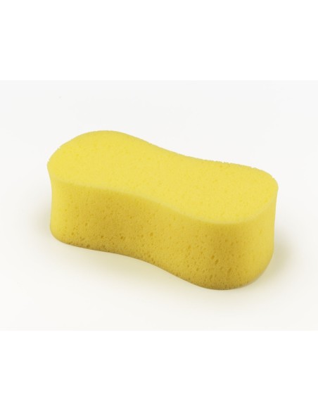 Sponge - N5880210 - 