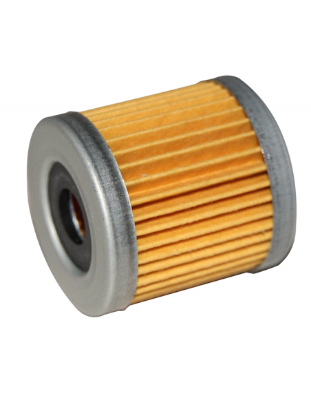 Filtro per motore fuoribordo 4T HONDA BF90/BF250 - 1915106 - 