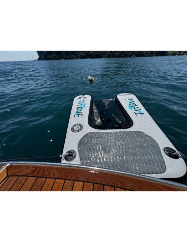 Scaletta per cani  T-WAVE - B2090115 - 