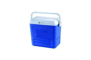 Portable fridge