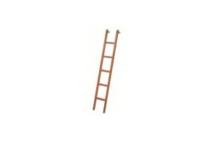Bunk ladders