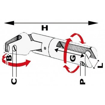 Giunto salpa ancora doppio snodo girevole in acciaio inox  