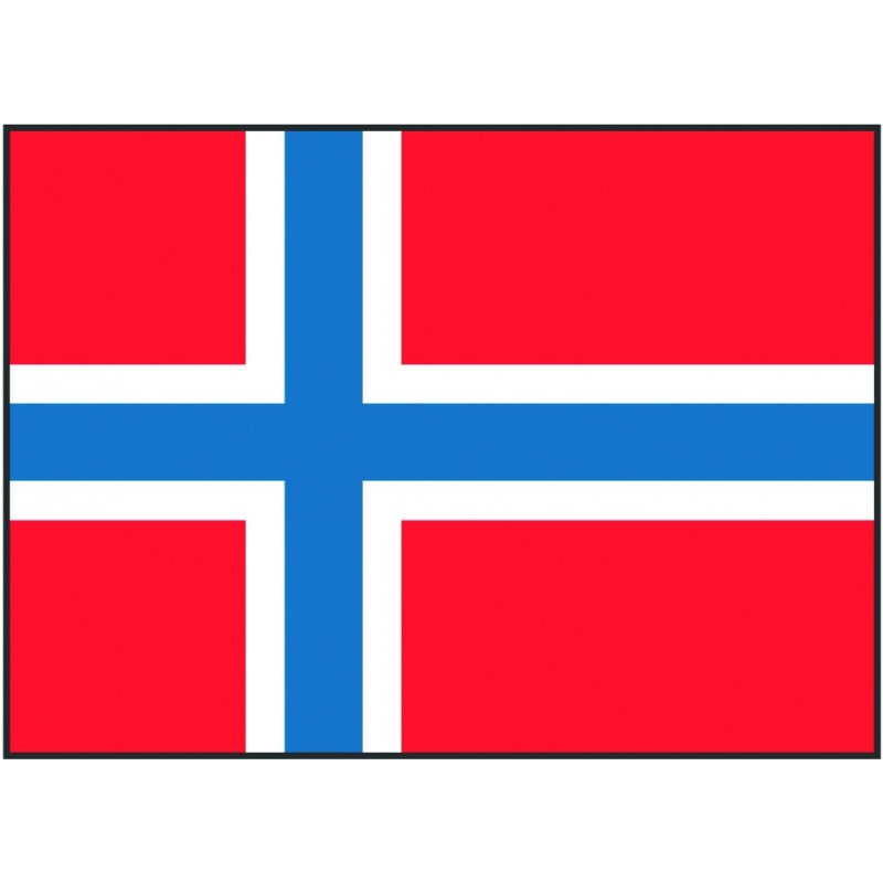 Bandiera Norvegia 20x30 cm