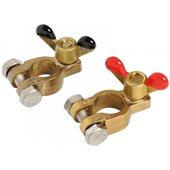 Coppia di morsetti in bronzo per batterie 