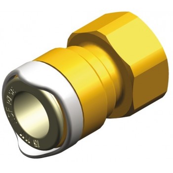 Adattatore WHALE da 1/2