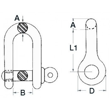  Stainless 'D' Shackles (316) 