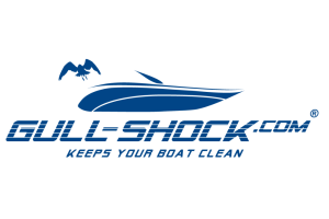 GULL-SHOCK